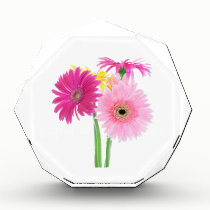 Gerbera Daisy Flowers awards