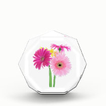 Gerbera Daisy Flowers awards