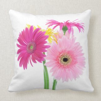 Gerbera Daisy Flowers Pillows