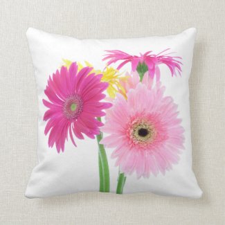 Throw Pillows For Every Room and Occasion
