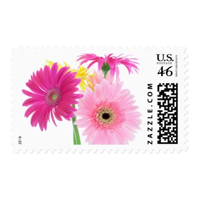 Gerbera Daisy Flowers Stamp