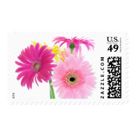 Gerbera Daisy Flowers Stamp