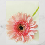 Gerbera Daisy Flyer Design
