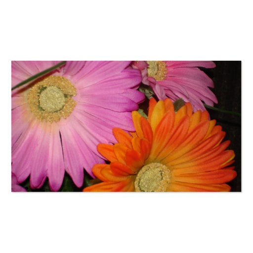 Gerbera Daisy Garden Business Card