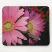 Gerbera Daisy Garden mousepads