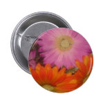 Gerbera Daisy Garden Pinback Button
