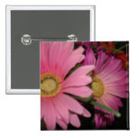 Gerbera Daisy Garden Pinback Buttons
