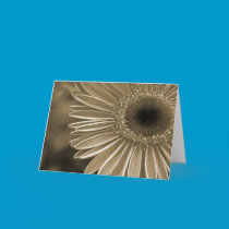 Gerbera Daisy in Sepia cards