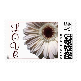 Gerbera Daisy/ Love stamp