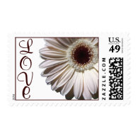 Gerbera Daisy/ Love Postage Stamps