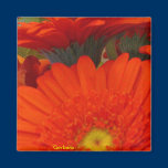 Gerbera Daisy Magnet magnets
