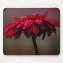Gerbera Daisy mousepads