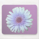 Gerbera Daisy mousepads