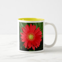 Gerbera Daisy Mug