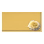 Gerbera Daisy Photo Card