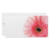 Gerbera Daisy Customized Photo Card