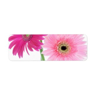 Gerbera Daisy Pink Flowers Return Address Label 