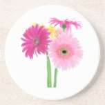 Gerbera Daisy Pink Drink Coasters