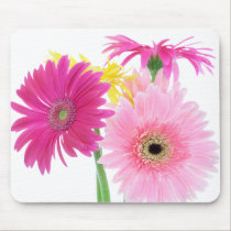 Gerbera Daisy Pink Flowers mousepads