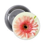 Gerbera Daisy buttons