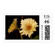 gerbera daisy postage by iiiyaaa gerbera daisy postage