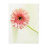 Gerbera Daisy Postcards