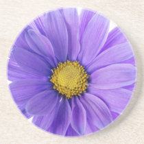 Gerbera Daisy Purple Floral Coasters coasters