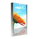 Gerbera Daisy Reflection Gallery Wrapped Canvas Gerbera Daisy Reflection Gallery Wrapped Canvas