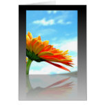 Gerbera Daisy Reflection Greeting Cards Gerbera Daisy Reflection Greeting Cards