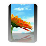 Gerbera Daisy Reflection Magnet Gerbera Daisy Reflection Magnet