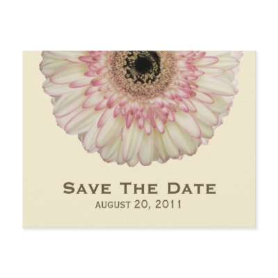 Gerbera Daisy Save The Date Postcard