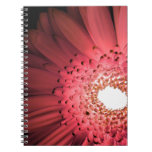 Gerbera Daisy notebooks
