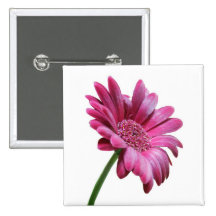 Gerbera Daisy Square Pin