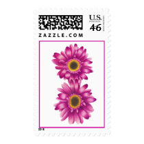 Gerbera Daisy Stamp stamps
