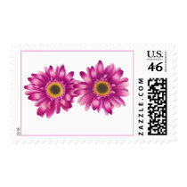 Gerbera Daisy Stamp stamps