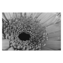 Gerbera Daisy Custom Stationery