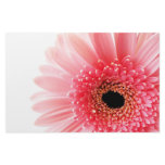 Gerbera Daisy Customized Stationery