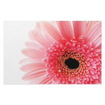 Gerbera Daisy Customized Stationery