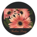 Gerbera Daisy stickers