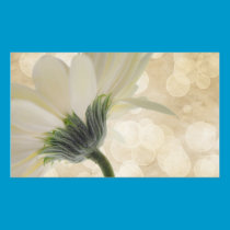 Gerbera Daisy Sticker stickers