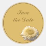 Gerbera Daisy Sticker