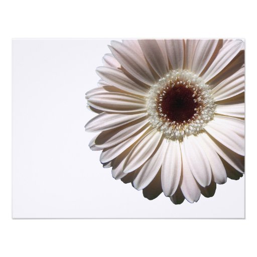 Gerbera Daisy Wedding/ Response Personalized Announcement