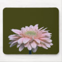Gerbera Diasy mousepads