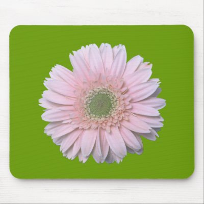 Gerbera Diasy Mouse Mat by roimim