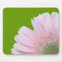 Gerbera Diasy mousepads