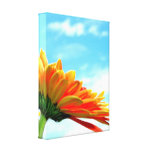 Gerbera Flower and Sky Gallery Wrapped Canvas