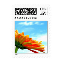 Gerbera Flower and Sky postage