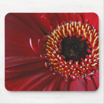 Gerbera Flower mousemat mousepads