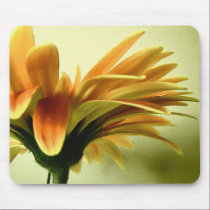 Gerbera Flower Mousepad mousepads