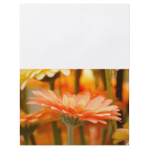 gerbera personalized flyer